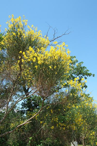 2011-05- (1537).JPG